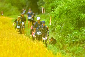 BIB: 
                            <button type="button" onclick="openModal(13456196)" class="btn btn-primary btn-sm float-right btn-popup" data-toggle="modal" data-target=".modal-high-quality">
                        <i class="fas fa-shopping-cart"></i> Add to Cart
                    </button>
                                            <button type="button" onclick="isThisMe(13456196, true)" class="btn btn-success btn-sm float-right btn-popup btn-isme hidden" data-toggle="tooltip" data-placement="bottom" title="นี่คือรูปของคุณใช่ไหม คลิกที่นี่เพื่อเอาเข้าอัลบั้ม">
                        <i class="fas fa-plus"></i> Add to album
                    </button>
                    <button type="button" onclick="isThisMe(13456196, false)" class="btn btn-warning btn-sm float-right btn-popup btn-isnotme hidden">
                        <i class="fas fa-ban"></i> Remove from album
                    </button>